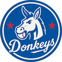 Donkeys